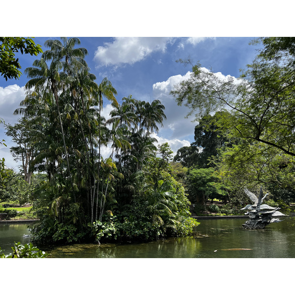 Picture Singapore Singapore Botanic Gardens 2023-01 15 - History Singapore Botanic Gardens