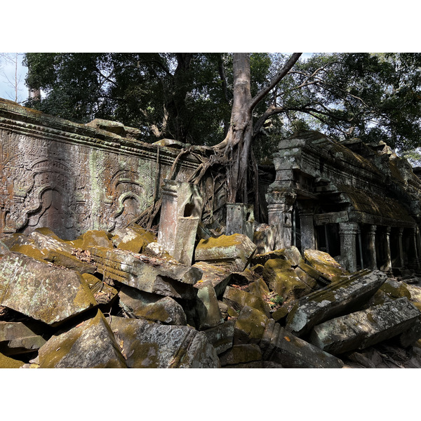 Picture Cambodia Siem Reap Ta Prohm 2023-01 137 - Discovery Ta Prohm