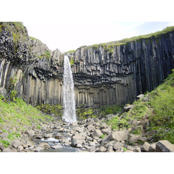 Picture Iceland Svartifoss 2003-06 3 - Around Svartifoss