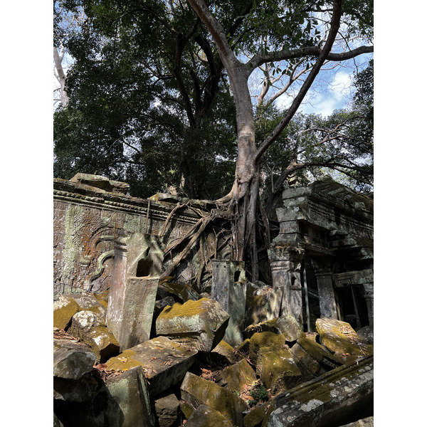 Picture Cambodia Siem Reap Ta Prohm 2023-01 132 - Recreation Ta Prohm