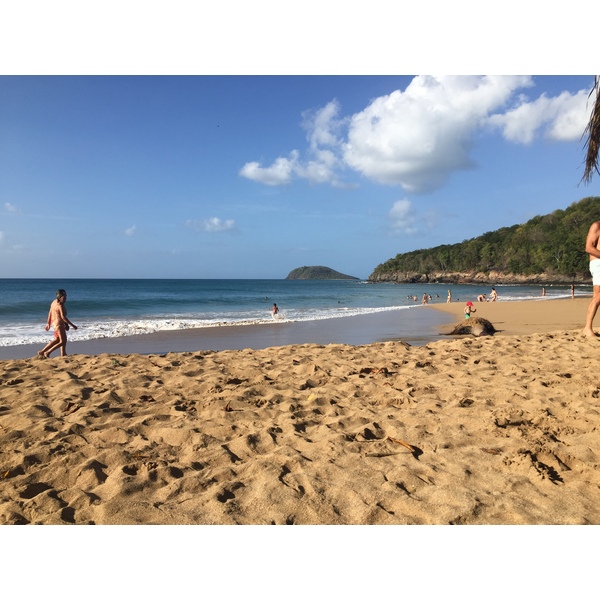 Picture Guadeloupe La Perle Beach 2021-02 12 - Tours La Perle Beach