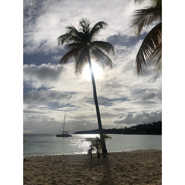 Picture Guadeloupe La Caravelle Beach 2021-02 102 - Around La Caravelle Beach