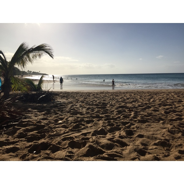 Picture Guadeloupe La Perle Beach 2021-02 1 - Center La Perle Beach