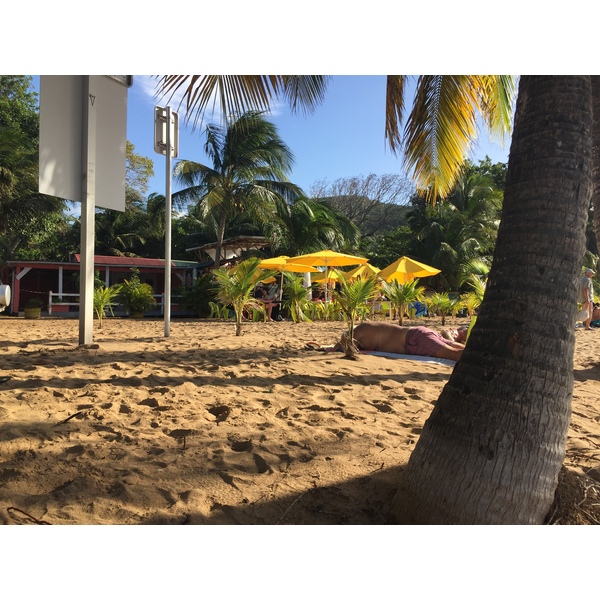 Picture Guadeloupe La Perle Beach 2021-02 118 - Center La Perle Beach