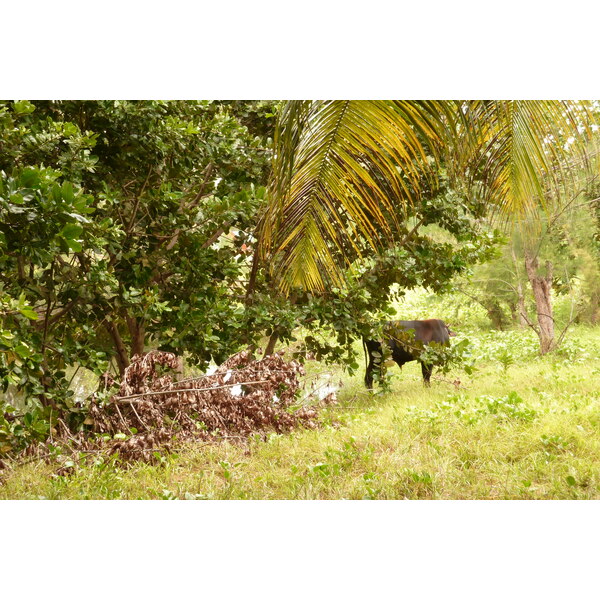 Picture Seychelles La Digue 2011-10 203 - History La Digue