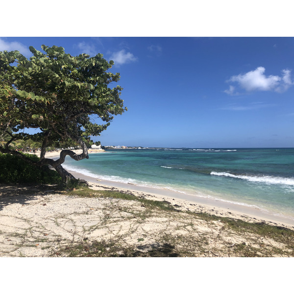 Picture Guadeloupe Saint Francois 2021-02 38 - Discovery Saint Francois