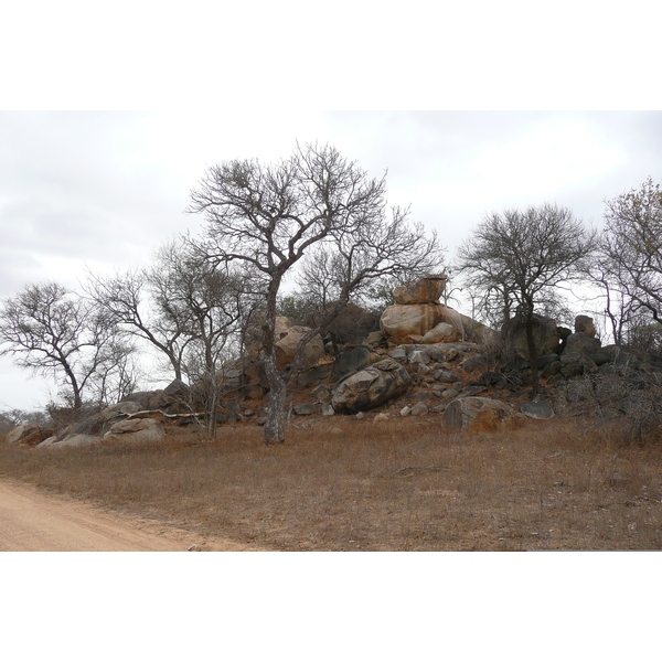 Picture South Africa Kruger National Park 2008-09 40 - Tours Kruger National Park