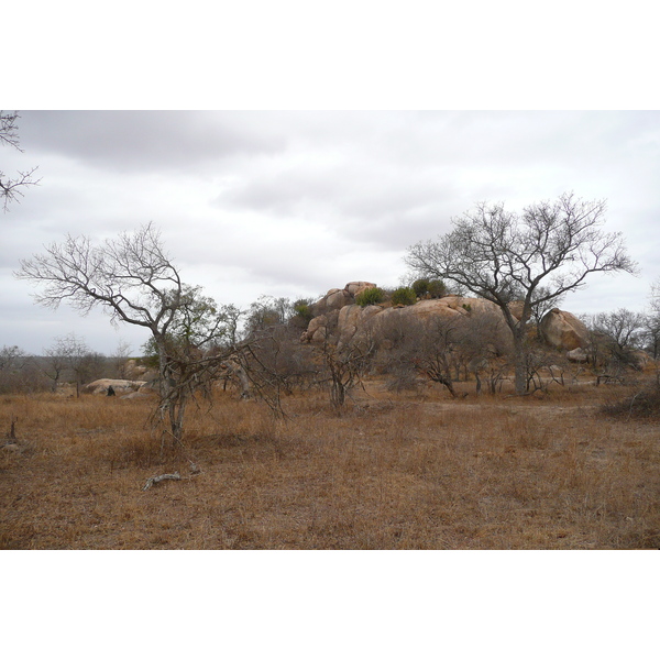 Picture South Africa Kruger National Park 2008-09 24 - Tours Kruger National Park