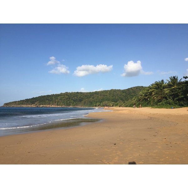 Picture Guadeloupe La Perle Beach 2021-02 22 - Around La Perle Beach