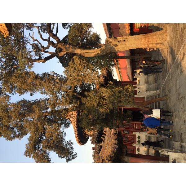 Picture China Beijing Forbidden City 2015-12 200 - Journey Forbidden City