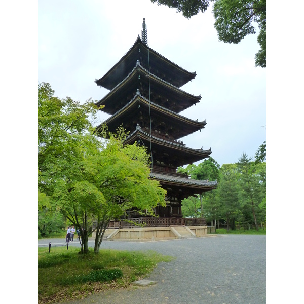 Picture Japan Kyoto Ninna ji Temple 2010-06 16 - Journey Ninna ji Temple