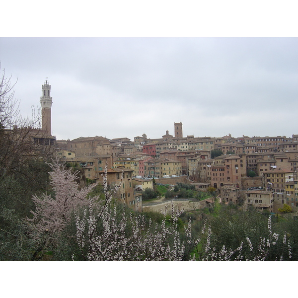 Picture Italy Siena 2004-03 37 - Tour Siena