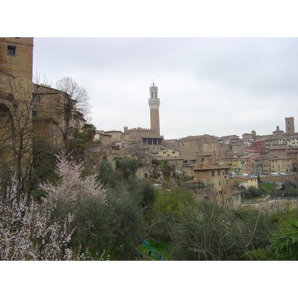 Picture Italy Siena 2004-03 4 - Center Siena