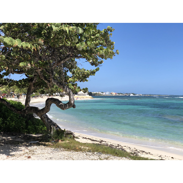 Picture Guadeloupe Saint Francois 2021-02 45 - Recreation Saint Francois