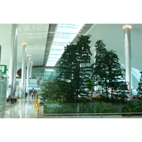 Picture United Arab Emirates Dubai Airport 2009-01 6 - Discovery Airport