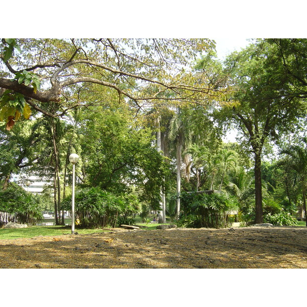 Picture Thailand Bangkok Lumpini Park 2005-12 18 - Discovery Lumpini Park