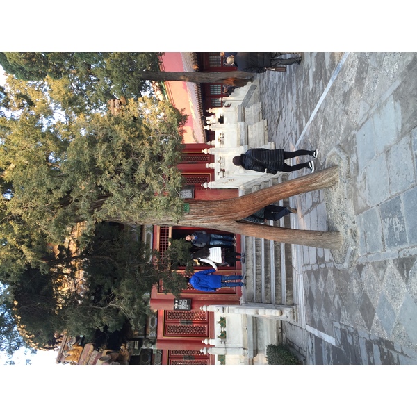 Picture China Beijing Forbidden City 2015-12 7 - Discovery Forbidden City