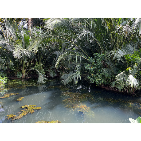 Picture Singapore Singapore Botanic Gardens 2023-01 99 - Journey Singapore Botanic Gardens