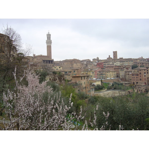 Picture Italy Siena 2004-03 43 - Tour Siena