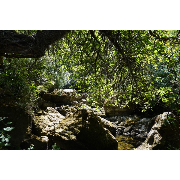 Picture France Fontaine-de-Vaucluse 2017-08 55 - Center Fontaine-de-Vaucluse