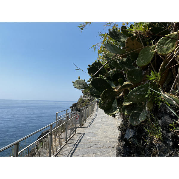 Picture Italy The Cinque Terre 2022-05 72 - Discovery The Cinque Terre