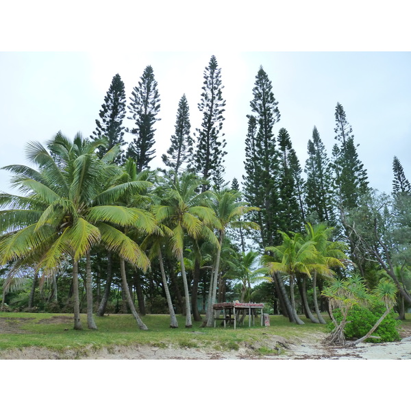 Picture New Caledonia Ile des pins Kuto Beach 2010-05 15 - Tours Kuto Beach