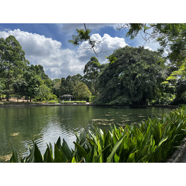 Picture Singapore Singapore Botanic Gardens 2023-01 74 - Journey Singapore Botanic Gardens