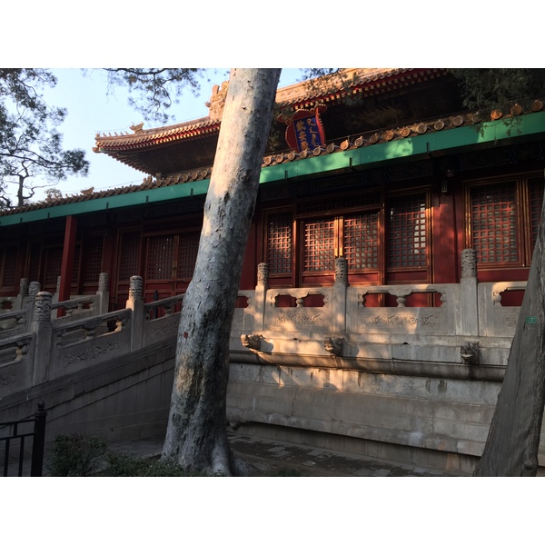 Picture China Beijing Forbidden City 2015-12 170 - Recreation Forbidden City