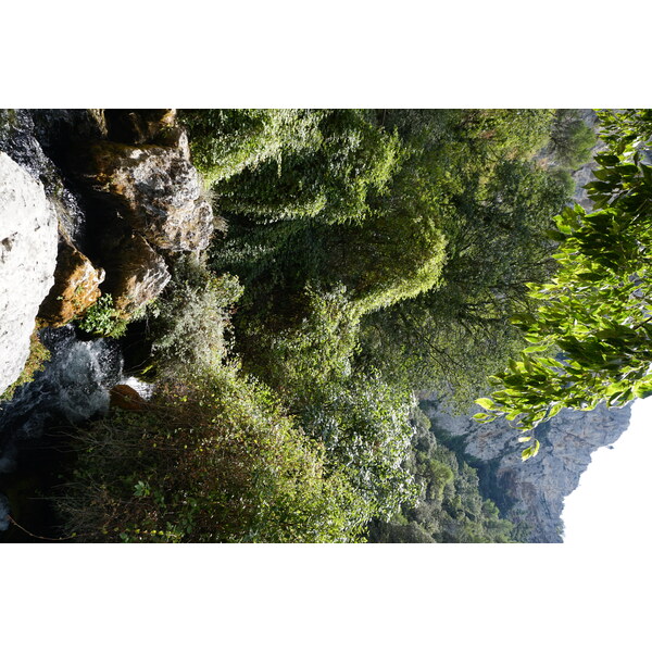 Picture France Fontaine-de-Vaucluse 2017-08 20 - Tours Fontaine-de-Vaucluse