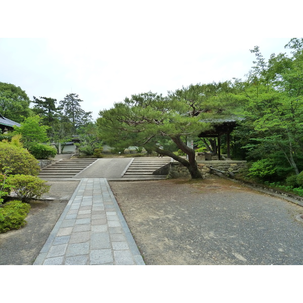 Picture Japan Kyoto Ninna ji Temple 2010-06 39 - Center Ninna ji Temple