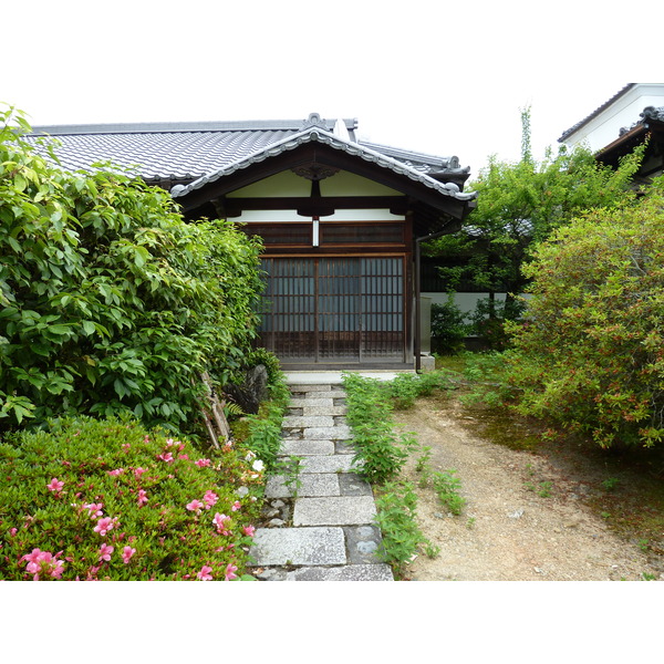 Picture Japan Kyoto Ninna ji Temple 2010-06 35 - Tour Ninna ji Temple