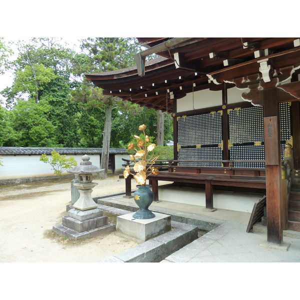 Picture Japan Kyoto Ninna ji Temple 2010-06 23 - Tours Ninna ji Temple