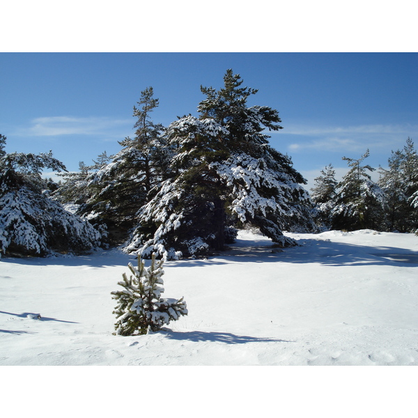 Picture France Greolieres les neiges 2007-01 1 - Journey Greolieres les neiges