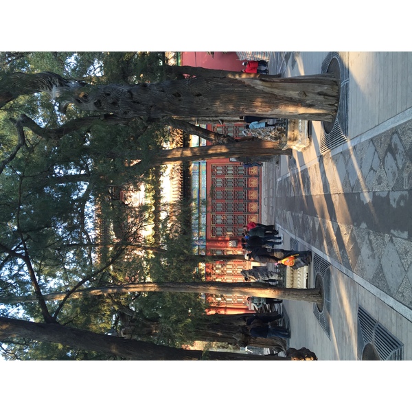 Picture China Beijing Forbidden City 2015-12 155 - Discovery Forbidden City