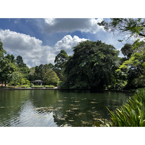 Picture Singapore Singapore Botanic Gardens 2023-01 91 - Tours Singapore Botanic Gardens