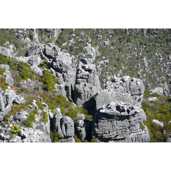 Picture South Africa Cape Town Table Mountain 2008-09 37 - Tour Table Mountain