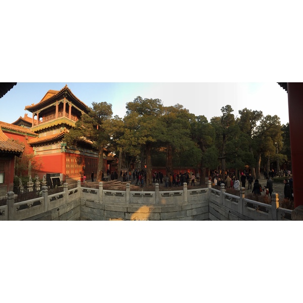 Picture China Beijing Forbidden City 2015-12 183 - History Forbidden City