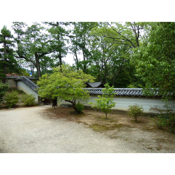 Picture Japan Kyoto Ninna ji Temple 2010-06 37 - Discovery Ninna ji Temple