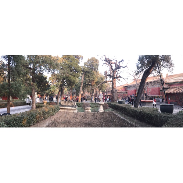 Picture China Beijing Forbidden City 2015-12 98 - Discovery Forbidden City