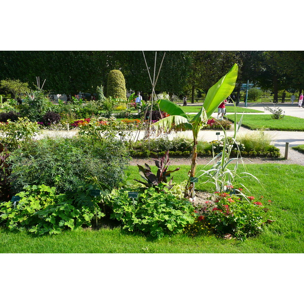 Picture France Paris Jardin des Plantes 2007-08 126 - Around Jardin des Plantes