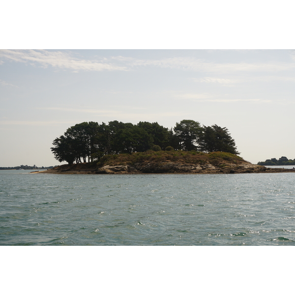 Picture France Golfe du Morbihan 2016-08 92 - Discovery Golfe du Morbihan