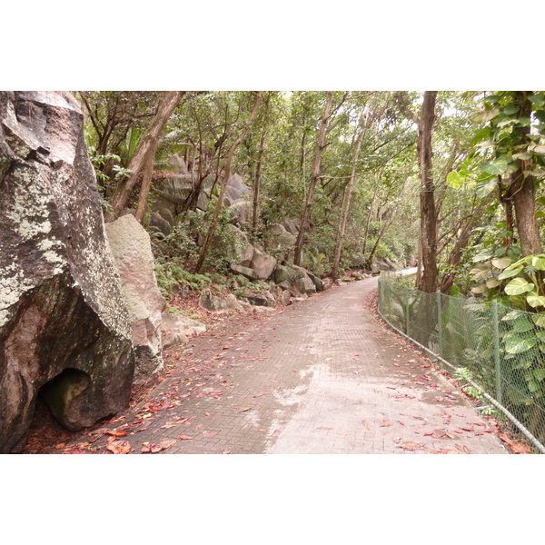 Picture Seychelles La Digue 2011-10 168 - Tours La Digue