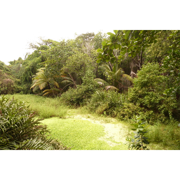 Picture Seychelles La Digue 2011-10 75 - Tour La Digue