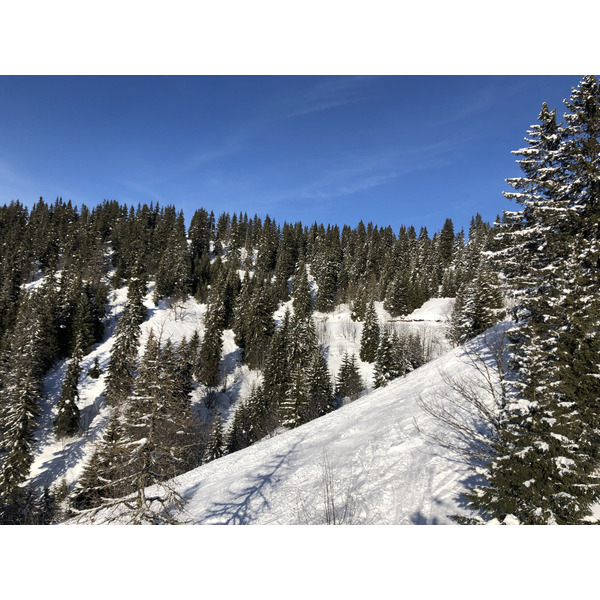 Picture France Praz sur Arly 2019-12 332 - Recreation Praz sur Arly