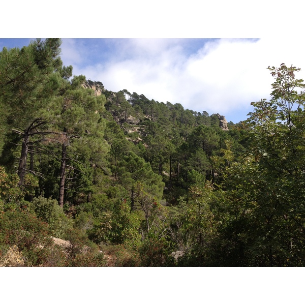 Picture France Corsica L'ospedale Forest 2012-09 15 - Around L'ospedale Forest