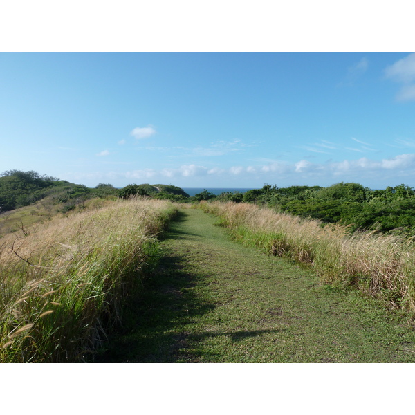 Picture Fiji Sigatoka sand dunes national park 2010-05 32 - History Sigatoka sand dunes national park