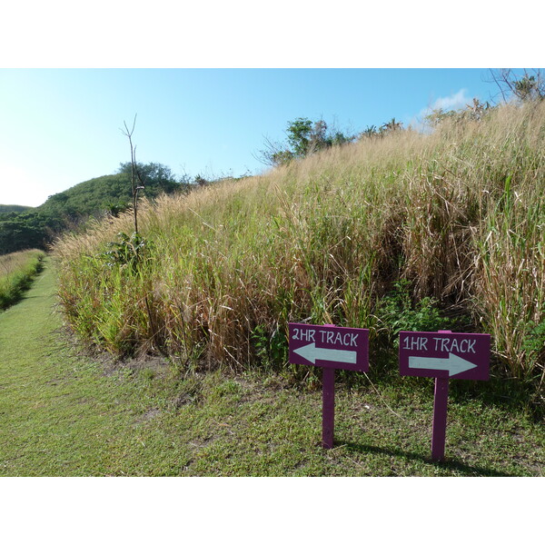 Picture Fiji Sigatoka sand dunes national park 2010-05 27 - Around Sigatoka sand dunes national park