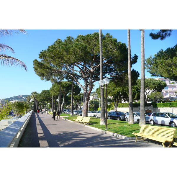 Picture France Cannes Port Pierre Canto 2008-05 48 - Center Port Pierre Canto