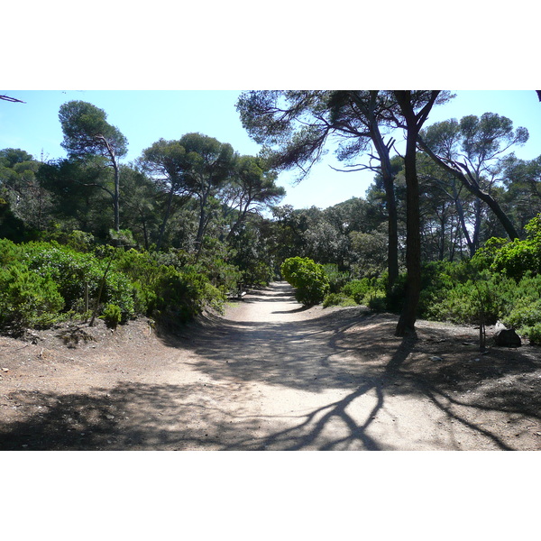 Picture France Porquerolles Island Pointe du Lequin 2008-05 71 - Tour Pointe du Lequin