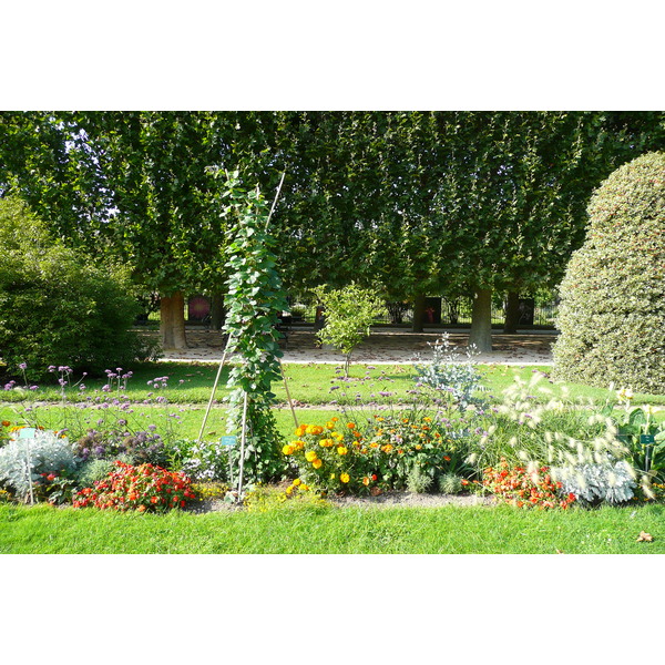 Picture France Paris Jardin des Plantes 2007-08 175 - Around Jardin des Plantes